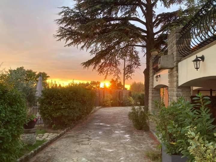 瓦凯拉Terre De Bacchus住宿加早餐旅馆 外观 照片